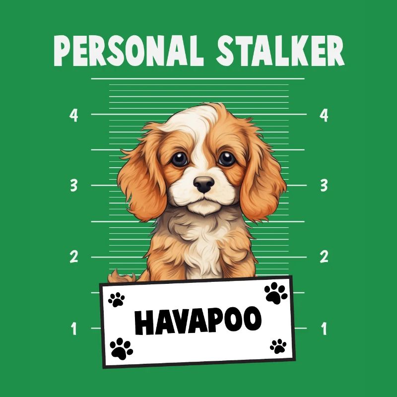 Personal Stalker Havapoo