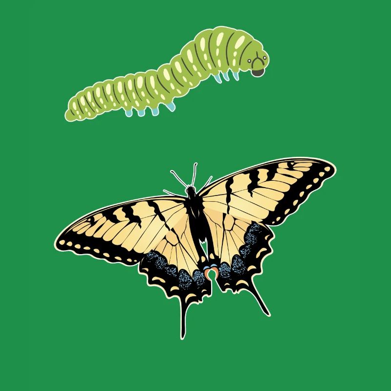 Tiger Swallowtails Sind Eine Mädchen Beste