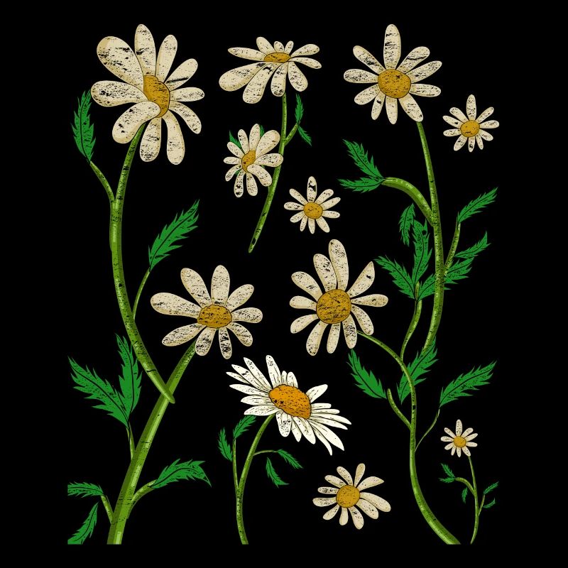 Daisy Nature Flower Gardener Gift Botany