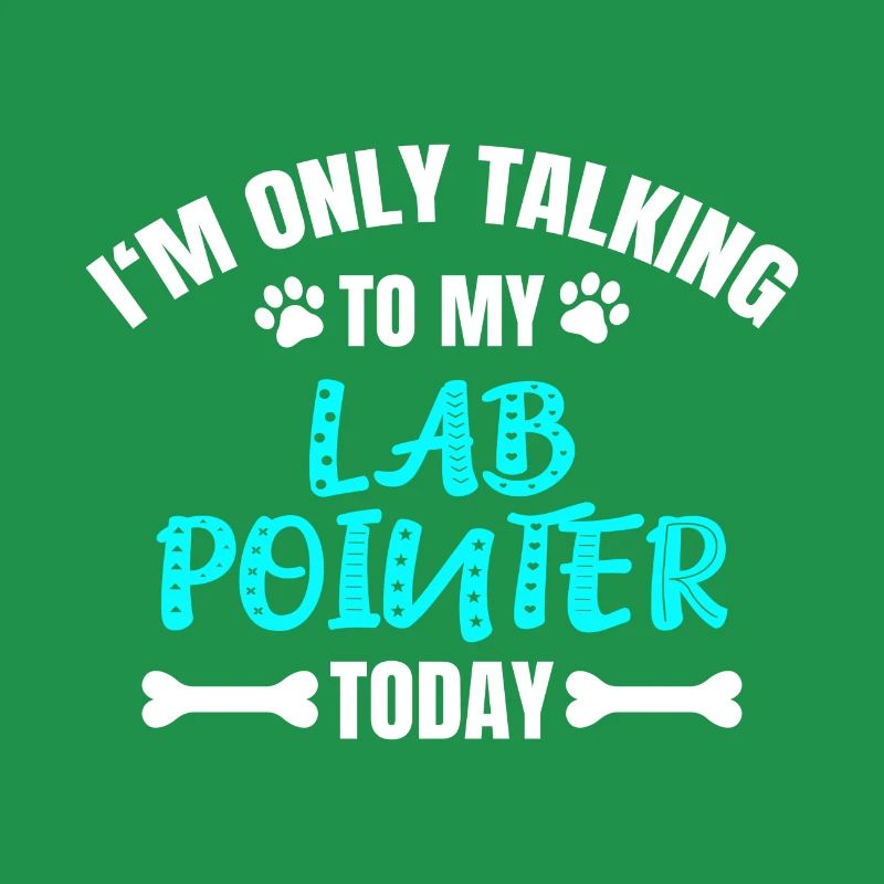 Lab Pointer
