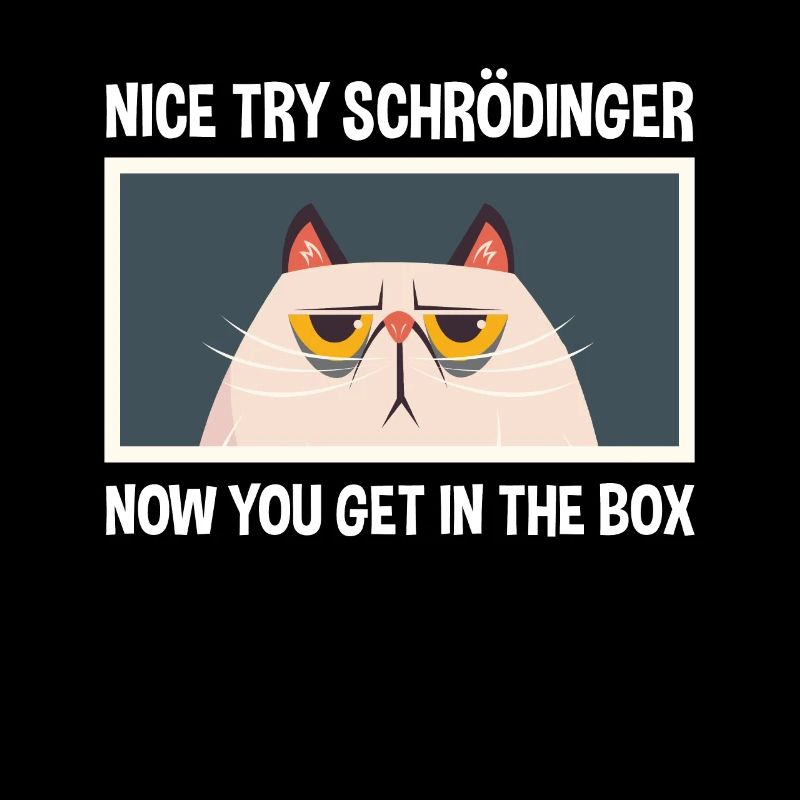 Nice attempt Schrödinger physics physicist