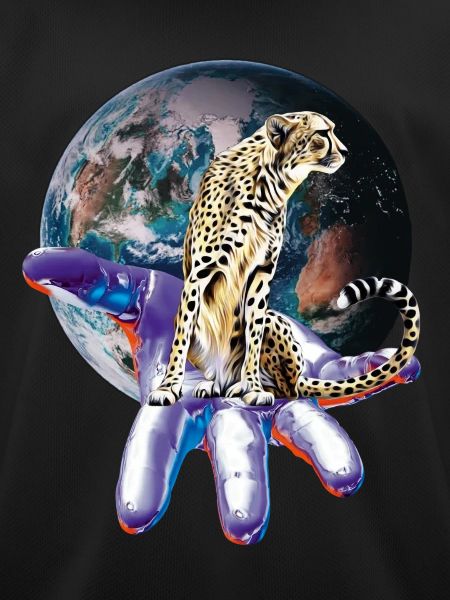 cheetah