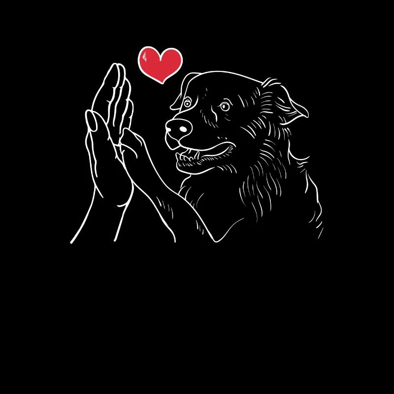 Australian Shepherd Paw Handshake Aussie Lover