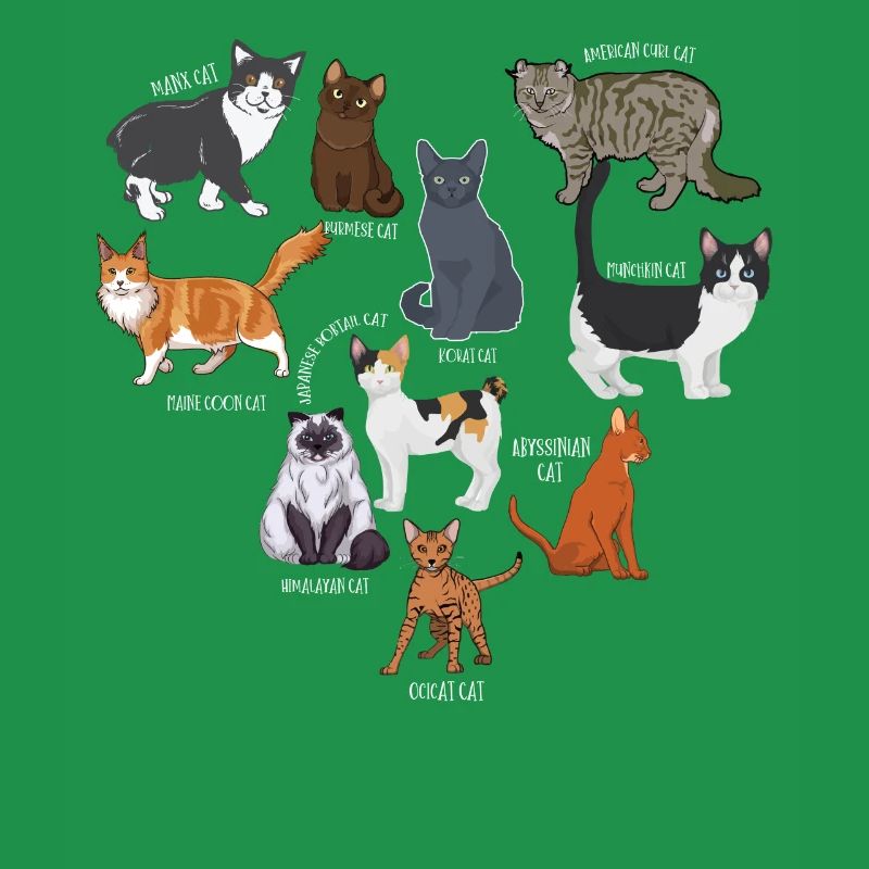 Espèces de chats, chats, chatons