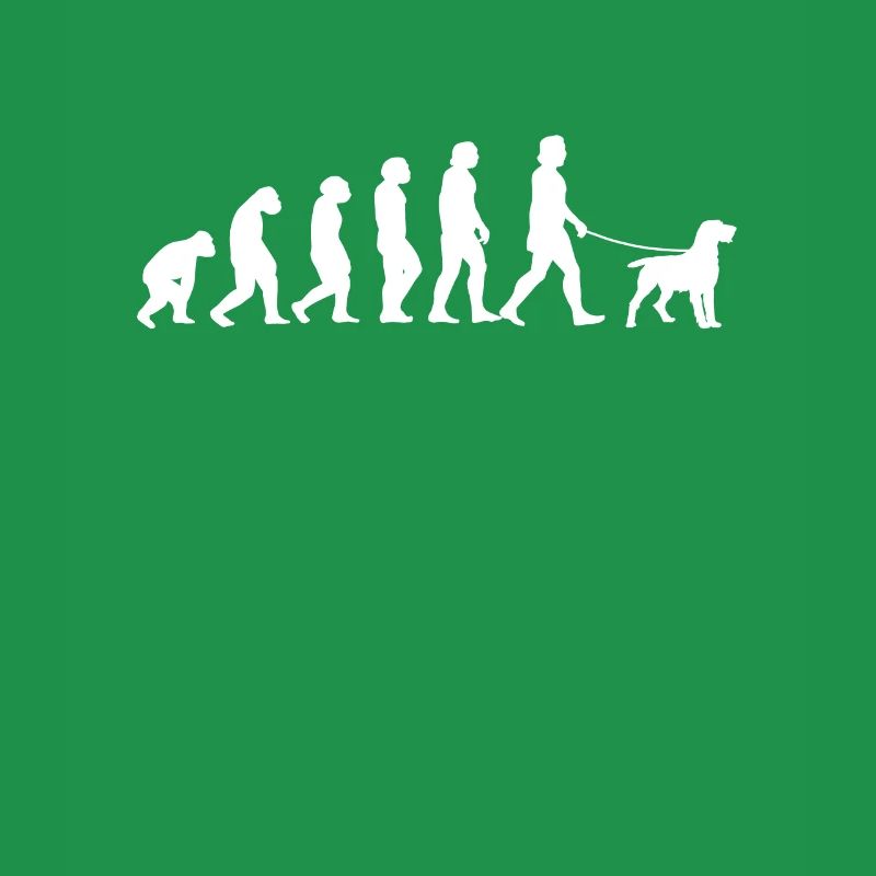 Deutsch Drahthaar Evolution Drahthaar Geschenk