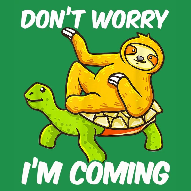 Sloth sloth lazy riding turtle