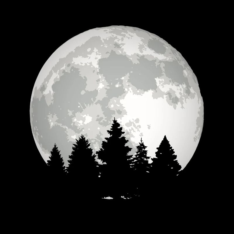Mond Wald