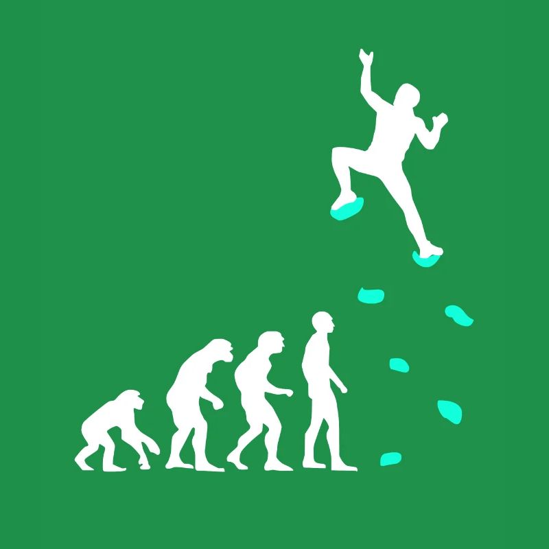 Climbing Evolution Climbing Handles Climbing Wall