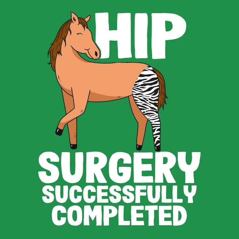 Horse Zebra Hip Surgery Successfully Completed