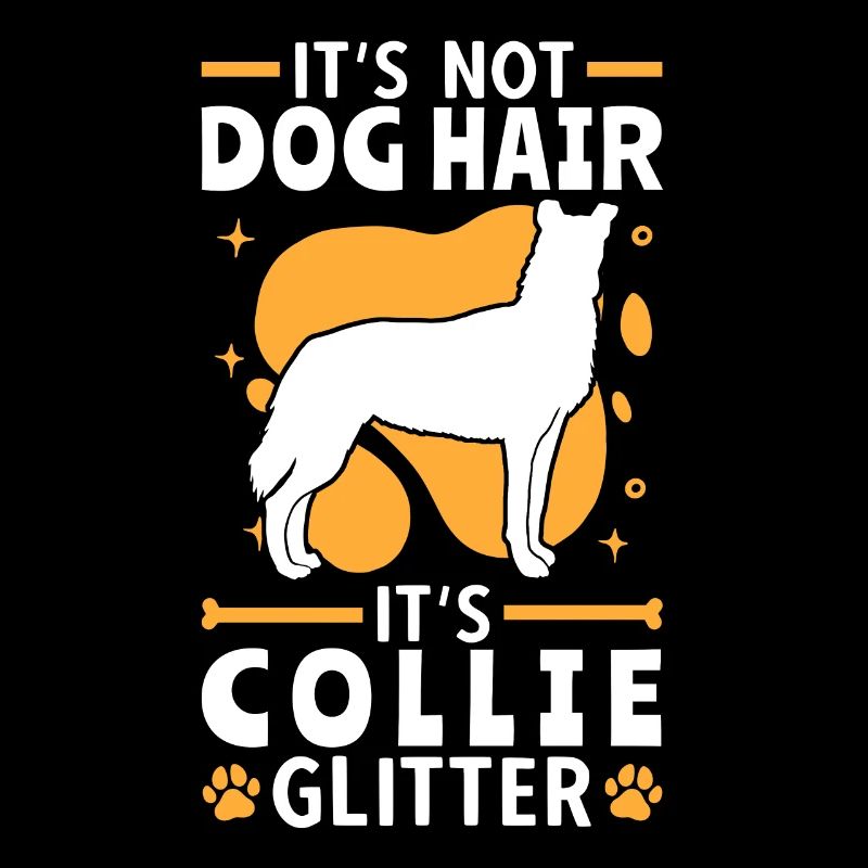 This is Shorthair Collie Glitter Smooth Collie
