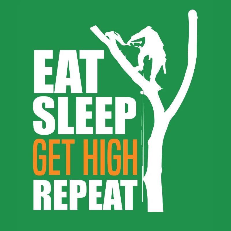 Arborists Tree Climbers Tree Care