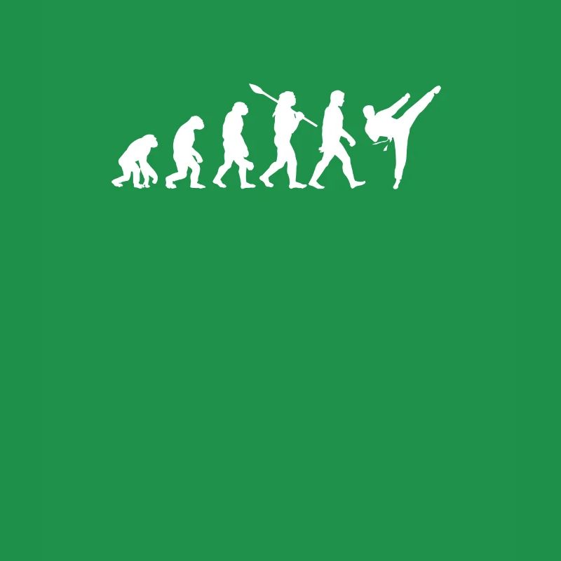 Evolution Karaté Taekwondo Aikido Arts Martiaux