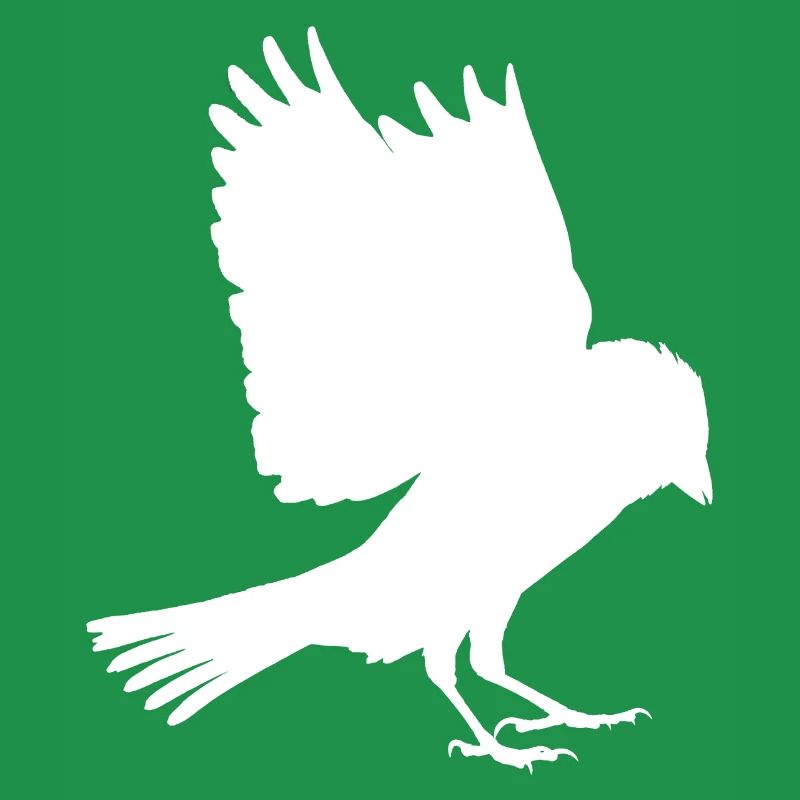 white sparrow