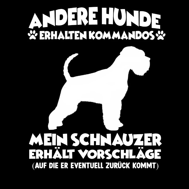 Witziges Schnauzer Hundetraining Hundebesitzer