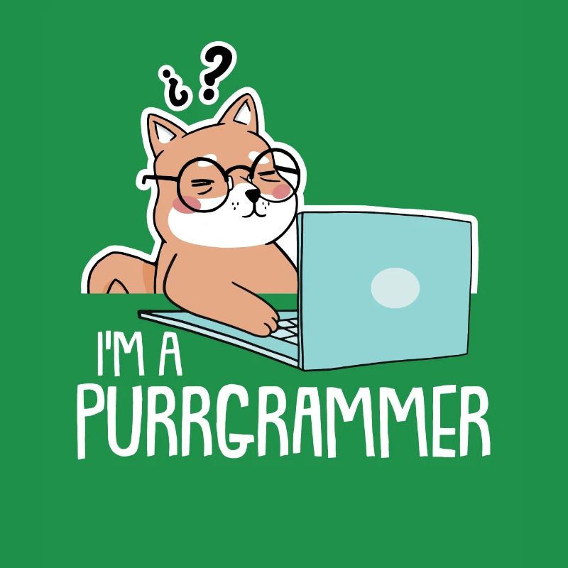 Programmer Coder Software Developer