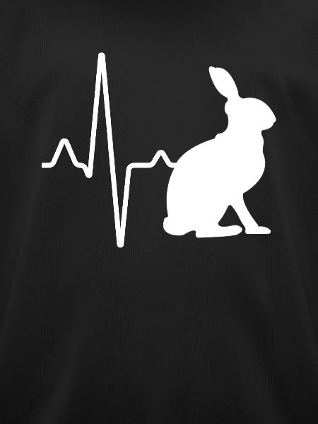 Rabbit Heartbeat