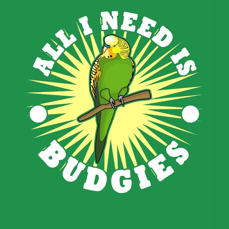 Perruche Perruche Budgerigar