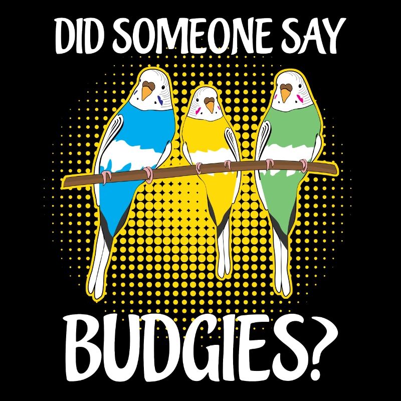 Budgerigar Disant Perruche