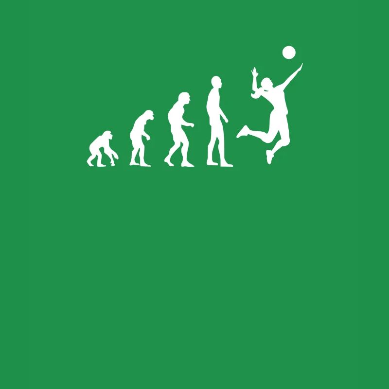 Volleyball Evolution