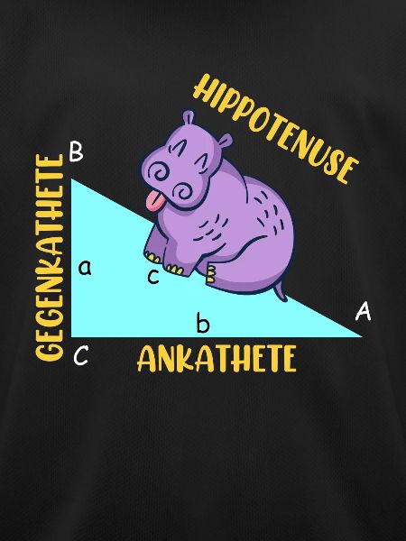 Hippotenuse Math
