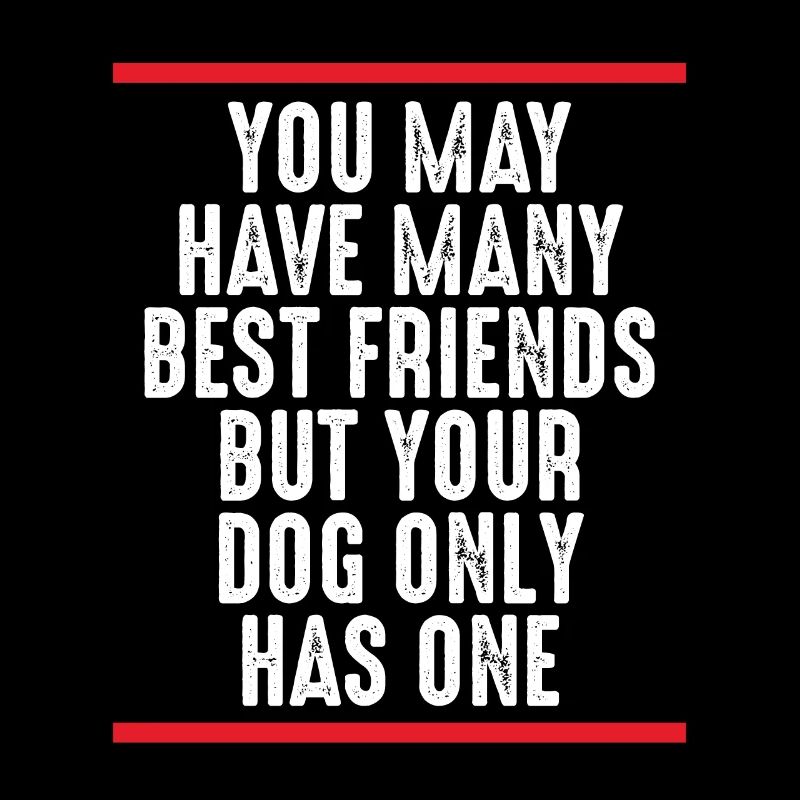 Ihr Hund Hat Einen Besten Freund