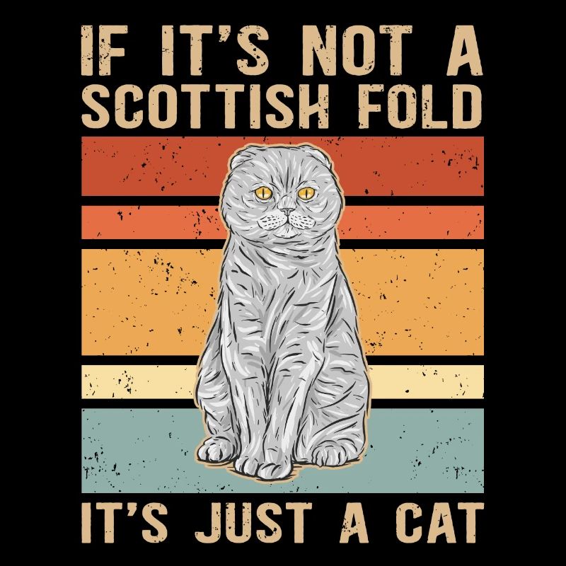 Scottish folding ear cat | Scottish Fold Gift