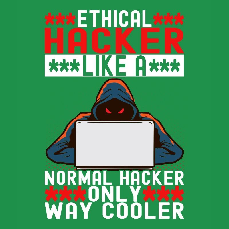 Programmer Cyber Security