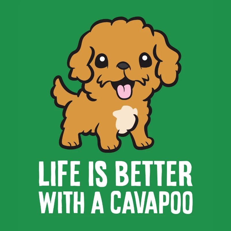Cavapoo Haustier Hund Das Leben ist besser mit