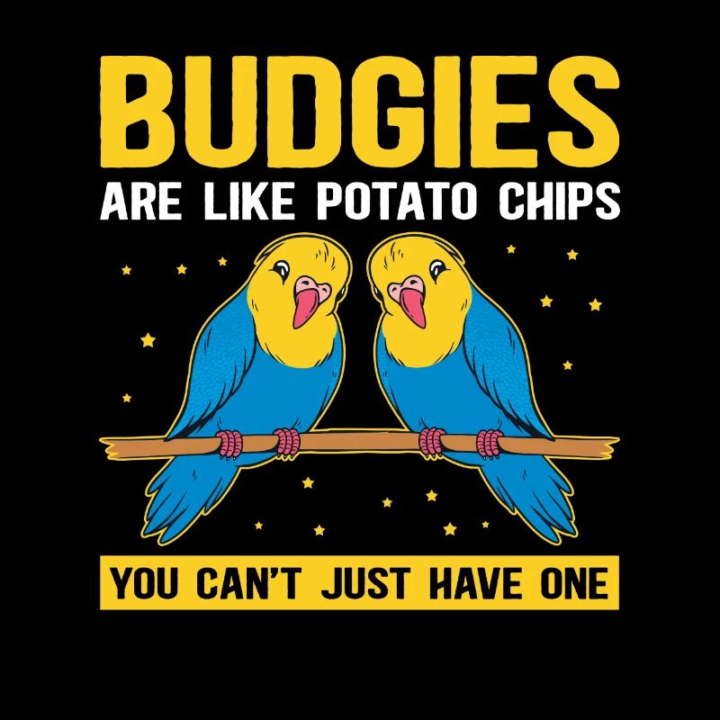 Cadeau de perruche du propriétaire de Budgerigar