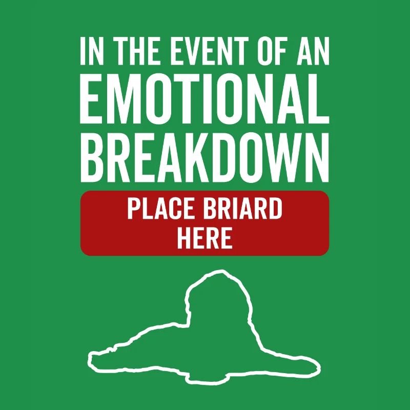 Emotional - Dog Briard