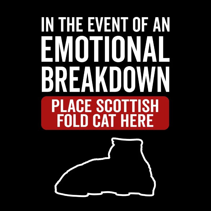 Emotional - Scottish Folding Cat