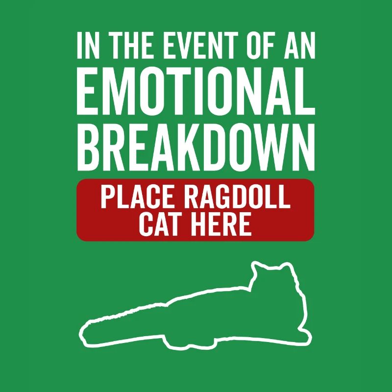 Emotional - Ragdoll Cat