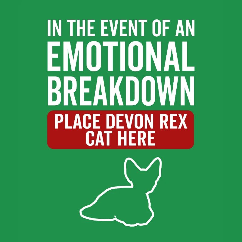 Emotional - Devon Rex Cat