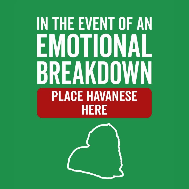 Emotional - Dog Havanese