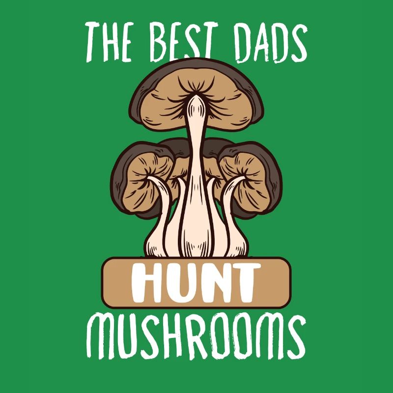 Morilles Cueillette de champignons Champignon fermier