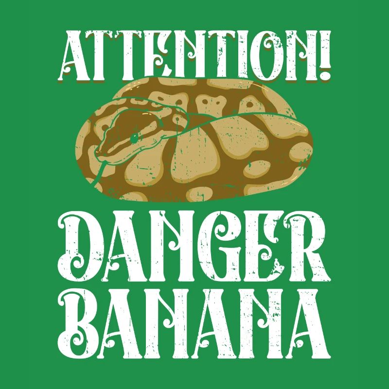 Königspython Banane Königspython Schlange