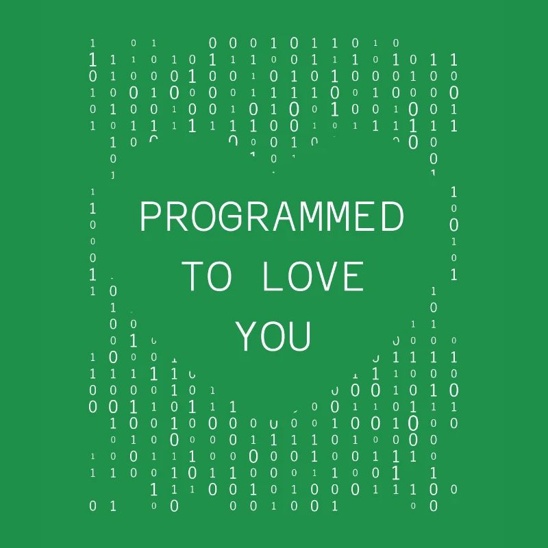 Developer Coder Programmer