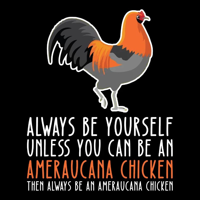 Sei Du Selbst - Ameraucana-Huhn