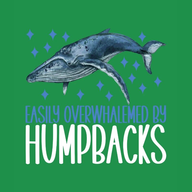 Osservatori di balene