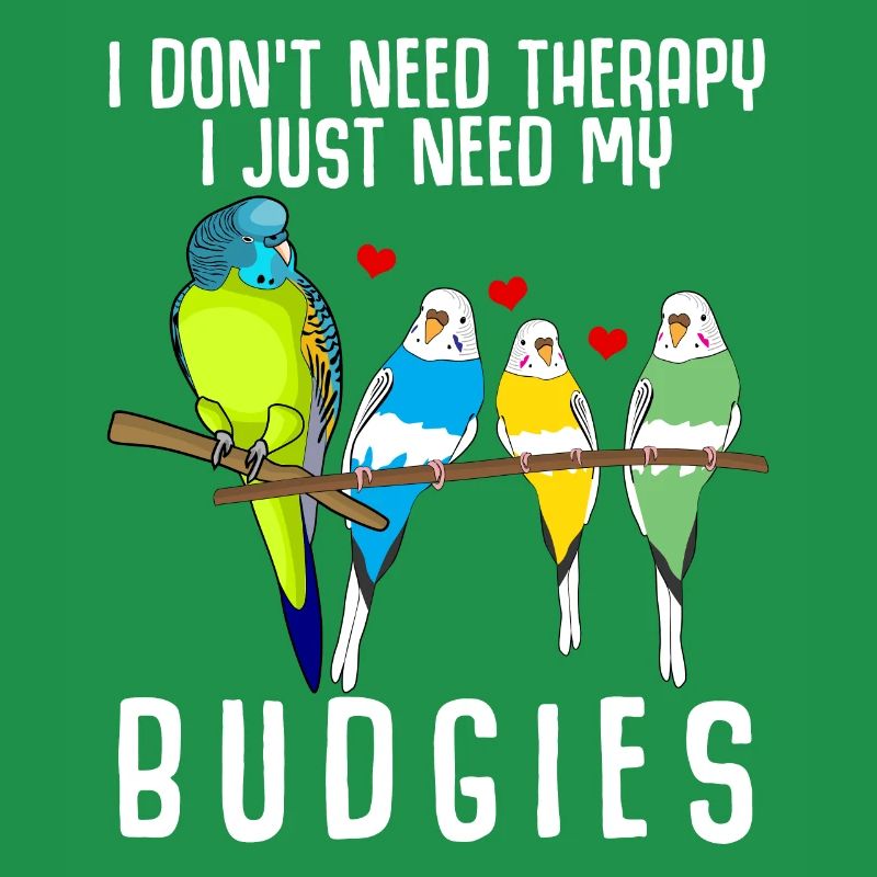 Perruche de Budgerigar
