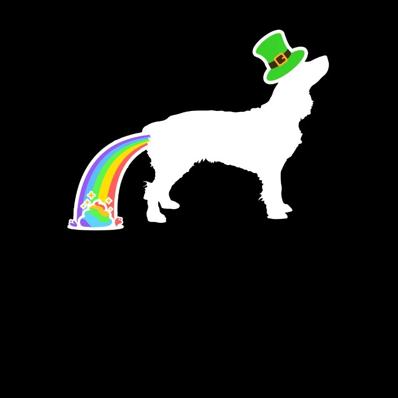 St. Patricks Hund - Boykin Spaniel