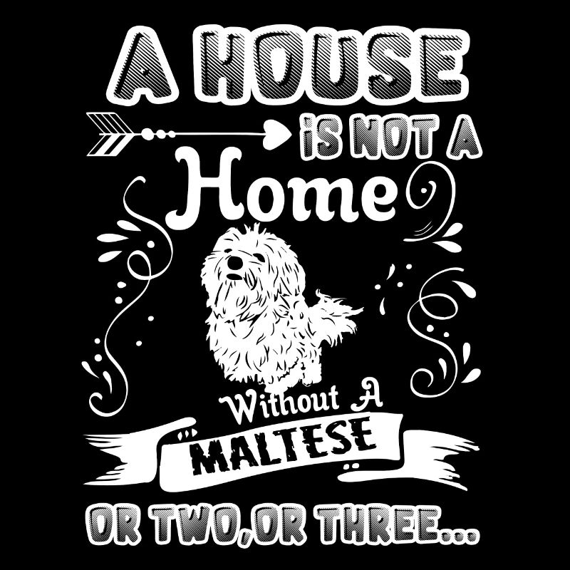 Maltese Home Without Maltese