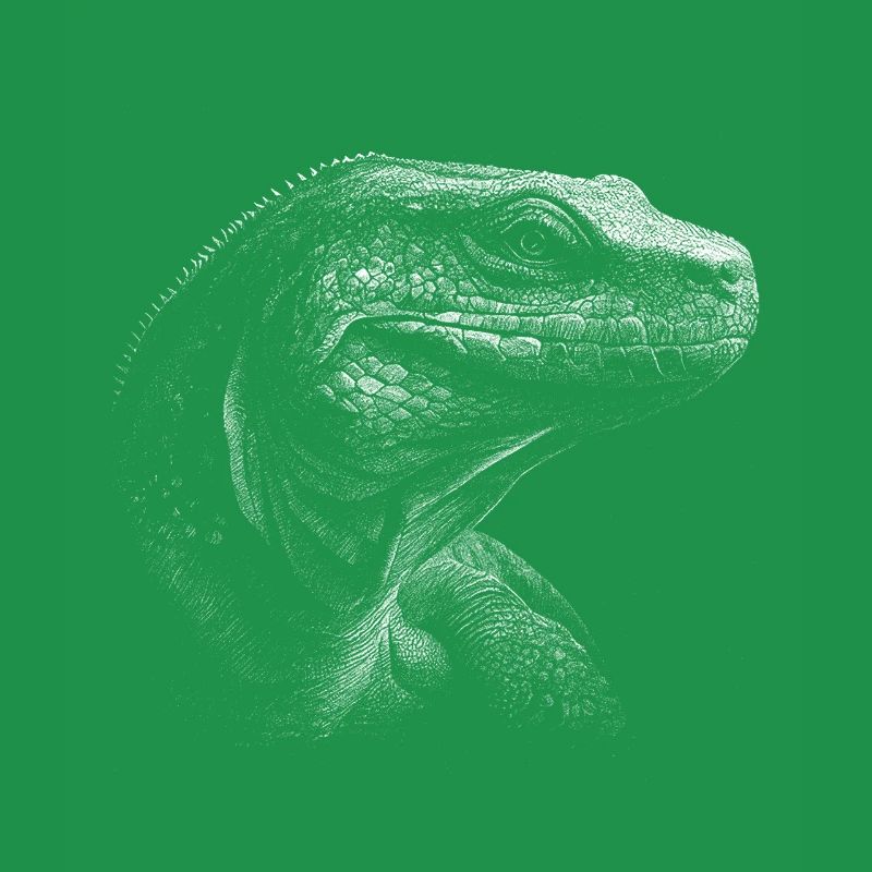 Komodo Dragon Varan Lizard
