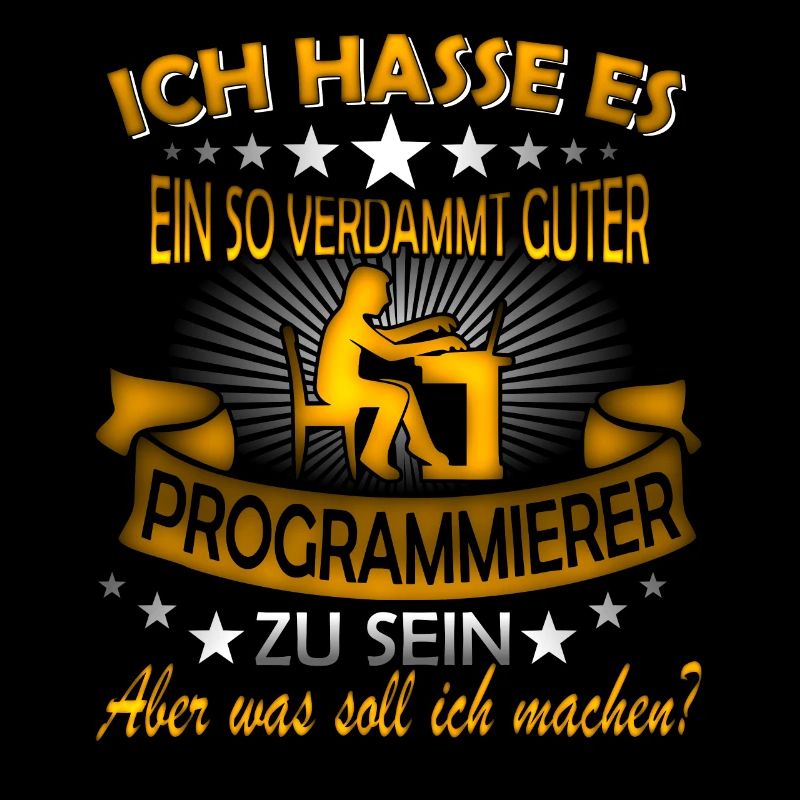 Software Ingenieur Informatiker Programmierer