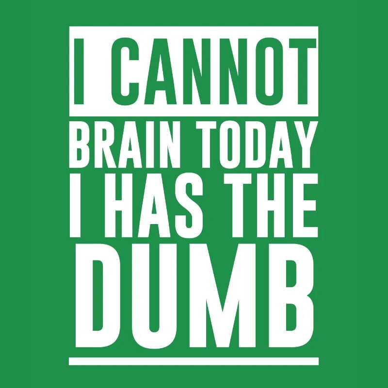I Cannot Brain Today I Has The Dumb 2