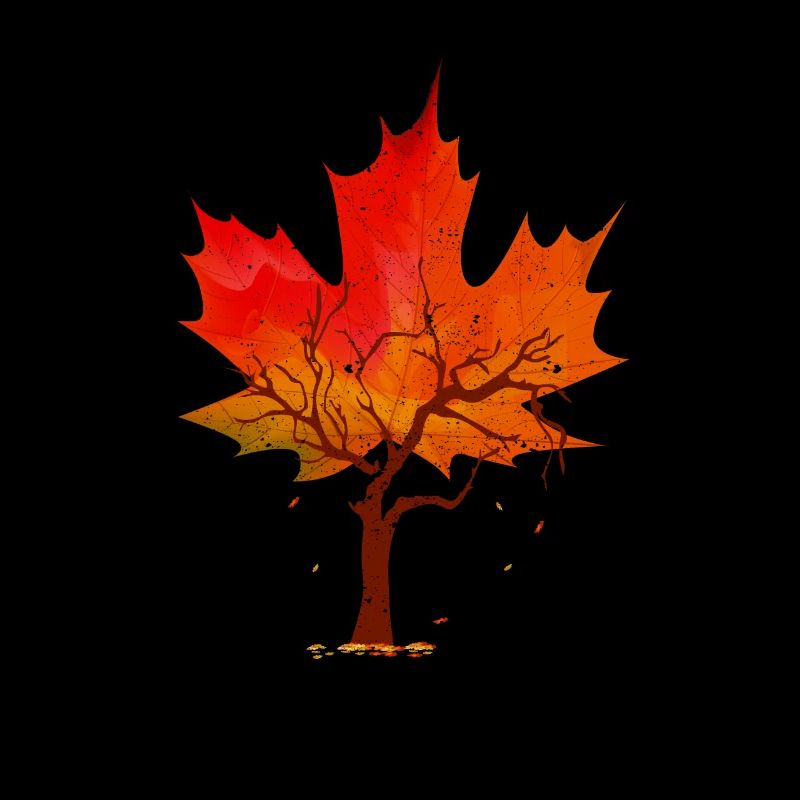 Maple Leaf Autumn Tree Red Yellow Orange Autumn Leaf