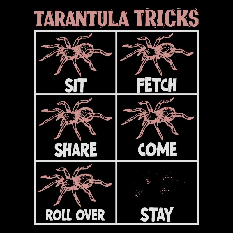 Tarentule éleveur araignée propriétaire tarentule