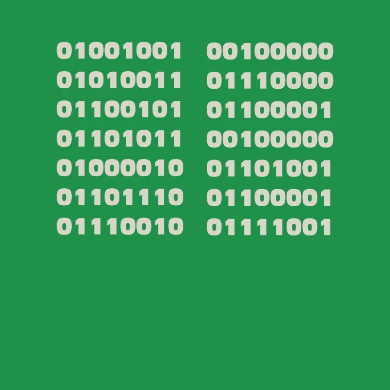 Ich Spreche Binär Code Lustiges Informatiker Coder