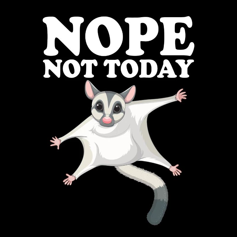 Sugar Glider Flughörnchen