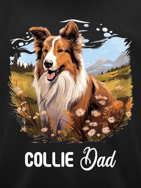 Dog Collie